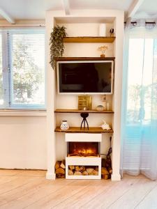 Una sala de estar con chimenea y televisión. en Zandvoort Paradise Boutique Chambre, en Zandvoort