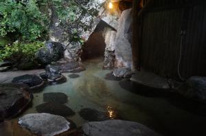 Φυσικό τοπίο κοντά σε αυτό το ryokan
