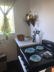 Kuchyňa alebo kuchynka v ubytovaní Modern Rustic Durban Apartment
