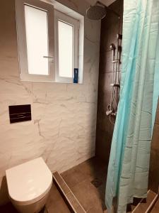 a bathroom with a toilet and a window and a shower at Diamond Apartment in Athens
