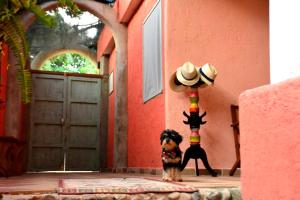 Fotografie z fotogalerie ubytování La Percha Hostal v destinaci Palomino