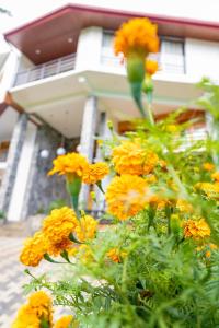 a bunch of yellow flowers in front of a house at 3 Arch Resort Ella in Ella