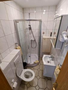 a bathroom with a shower and a toilet and a sink at Apartment Nada in Kassel