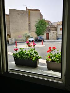 dos macetas sentadas en el alféizar de una ventana en Chez cathe en Rieux-Minervois