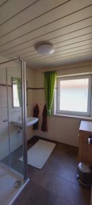 La salle de bains est pourvue d'une douche, d'un lavabo et d'une fenêtre. dans l'établissement Landhaus Lehner, à Kirchham