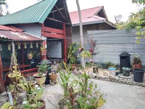 Sodas prie apgyvendinimo įstaigos Nazri Nipah Camp Pangkor