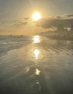 Naturlandskabet i nærheden af lejligheden