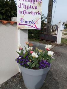 een pot bloemen naast een bord bij chambre d hotes in Saint-Laurent-de-la-Barrière