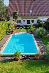 a swimming pool in the yard of a house at Spreewaldpension Zickert in Lübben