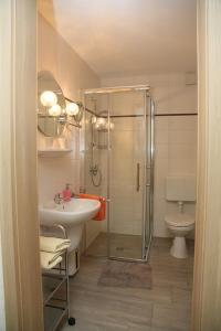een badkamer met een douche, een wastafel en een toilet bij Spreewaldpension Zickert in Lübben