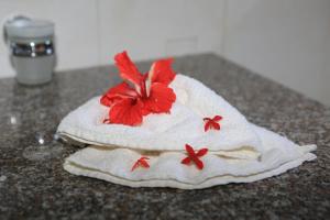 Fotografie z fotogalerie ubytování Villa Veuve Casadani Hotel v destinaci La Digue