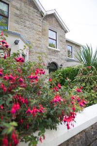 a garden with red flowers in front of a house at Riverdale House B&B in Athlone