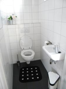 a small bathroom with a toilet and a sink at Vakantiehuisjes Marsherne in Poppingawier +102 photos