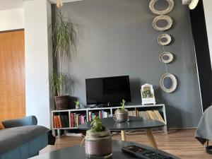 TV o dispositivi per l'intrattenimento presso Stan na dan Loznica
