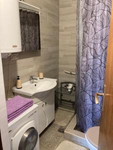 un bagno con lavandino e lavatrice di Stan na dan Loznica a Loznica