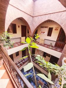 een uitzicht vanaf de tweede verdieping van een gebouw met een plant bij Hotel salem leksor in Marrakesh