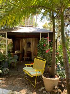 una sedia gialla e un albero in un cortile di Coastal Hideaway a Carlsbad