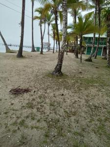 Gallery image of Buccaneer Resort in Bocas del Toro +36 photos