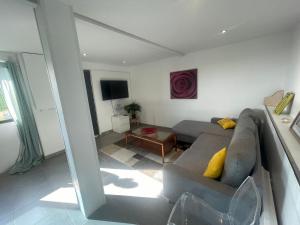 uma sala de estar com um sofá e uma televisão em Charmant deux pièces dans maison em Roquebrune-Cap-Martin