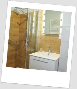 a bathroom with a sink and a shower at Apartament w Alei Fontann. in Szczecin