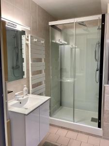 W łazience znajduje się szklana kabina prysznicowa i umywalka. w obiekcie Logisfontainebleau w mieście Villiers-sous-Grez