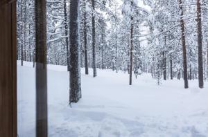 a snowy forest with trees and snow covered ground at Pyhä Saukonpiilo in Pelkosenniemi +36 photos