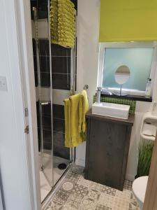 a bathroom with a shower and a sink at The Wee Den in Balfron