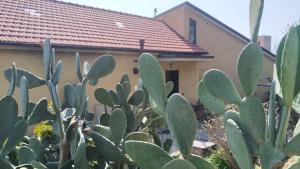 Vonkajšia záhrada v ubytovaní B&B VILLA CATERINA