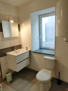 een badkamer met een toilet, een wastafel en een raam bij Gîte chaleureux "Le Figuier" - Val-du-Faby in Fa