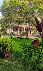 un patio con una casa al fondo en O Caramuru Hostel - Cumuruxatiba, en Cumuruxatiba