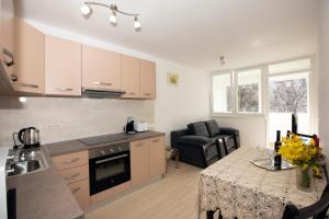 Köök või kööginurk majutusasutuses Apartman Ive