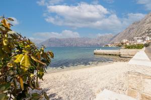 Afbeelding uit fotogalerij van Promenade Rose in Kotor