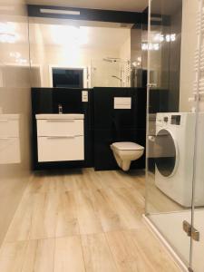 a bathroom with a toilet and a sink and a mirror at Apartamenty PIANO in Świeradów-Zdrój