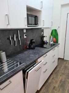 Kuchyň nebo kuchyňský kout v ubytování Světlý prostorný byt v Karlíně