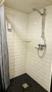 y baño con ducha y cortina de ducha. en Cozy two-story Loft Apartments 6, en Tallin