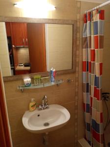 ein Badezimmer mit einem Waschbecken, einem Spiegel und einem Duschvorhang in der Unterkunft Τείχιο Μπουτίκ - Tihio Boutique - Πέτρινος ξενώνας in Tíkhion