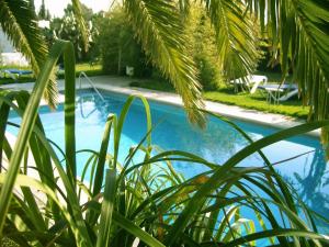 Fotografia z galérie ubytovania Bungalows Puravida v destinácii Zahora