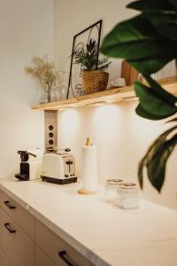 a kitchen counter with a toaster and a plant on it at Stilvolles Apartment in ruhiger Lage in Leipzig