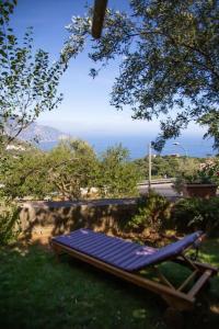Colli di Fontanelle的住宿－Sorrento, Positano, Amalfi Coast, Capri, garden, villa Carcara，相簿中的一張相片