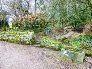 an old stone wall and a path in the woods at Moorlands Farm Cottage in Foxt
