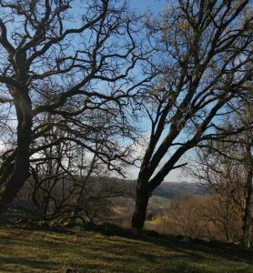Afbeelding uit fotogalerij van Gite Le pigonnier Ecogite Le Luquet Saint Beauzeil 82150 in Saint-Beauzeil +9 foto's