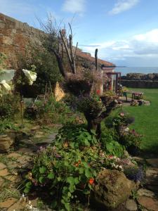 a garden with flowers and plants in front of a building at Belstane House in Cellardyke