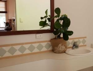 uma casa de banho com um vaso de plantas sentado num lavatório em Mundaring Weir Hotel em Mundaring