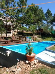 una piscina con una maceta al lado en Terra Nostra en Córdoba