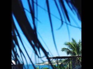 a view of a beach with a palm tree and the ocean at Double room for a Couple in Puerto Escondido