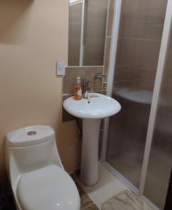 uma casa de banho com um WC, um lavatório e um chuveiro em Suites Pozos Mágico em San Luis de la Paz