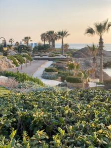 a garden with palm trees and a beach at Royal seacrest А203 sea view apartment in Paphos City