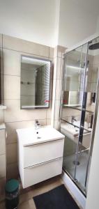 La salle de bains est pourvue d'un lavabo blanc et d'un miroir. dans l'établissement Ferienwohnung am Birkenwäldchen, à Plauen
