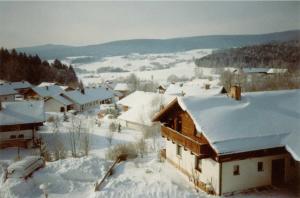 a village covered in snow with houses at Fewo mit malerischem Bergblick im in Bischofsmais