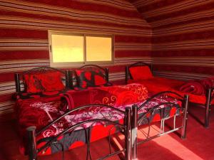 Billede fra billedgalleriet på Wadi rum Local guide camp i Wadi Rum